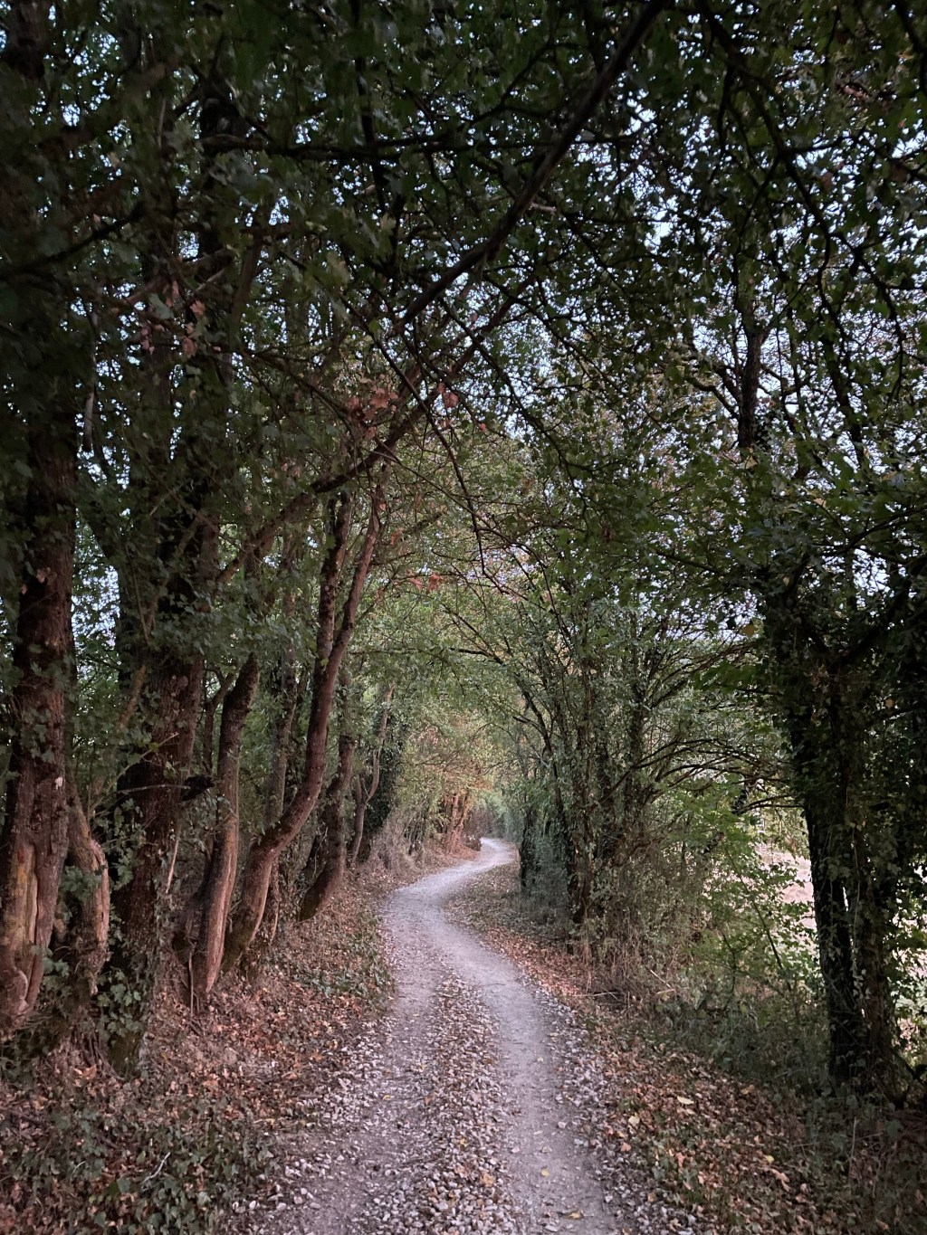 Day 3: At last, a functioning SIM card