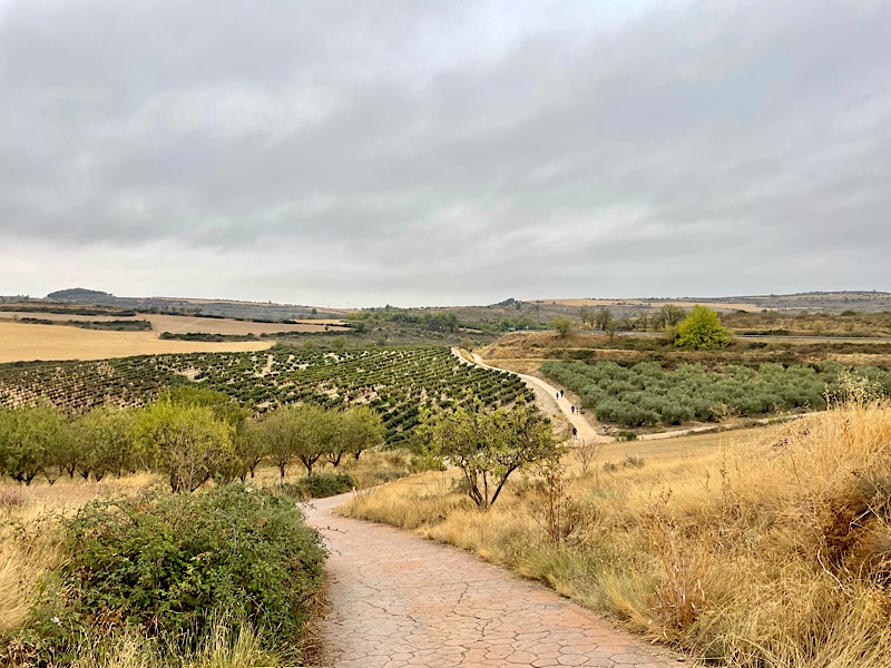 Day 7: First day of “let’s just get through this”