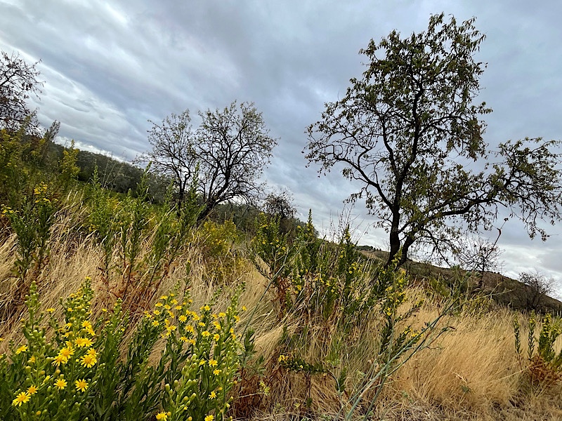 Day 8: Short and sweet