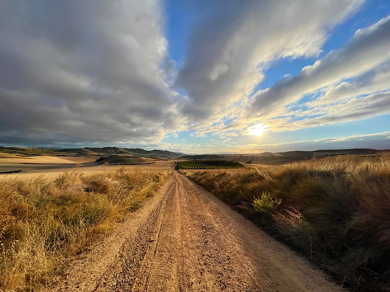 Day 10: Longer, but stronger… then sicker