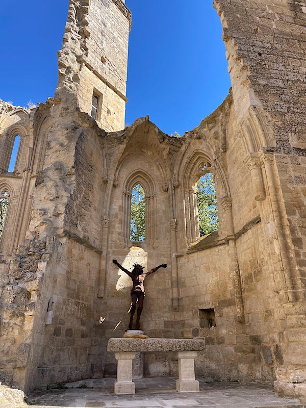 Day 12: Dogs and cats and ruins