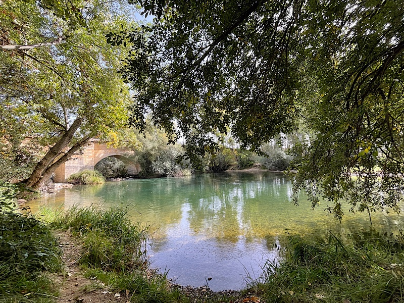 Day 16: Happy legs, happy tummy