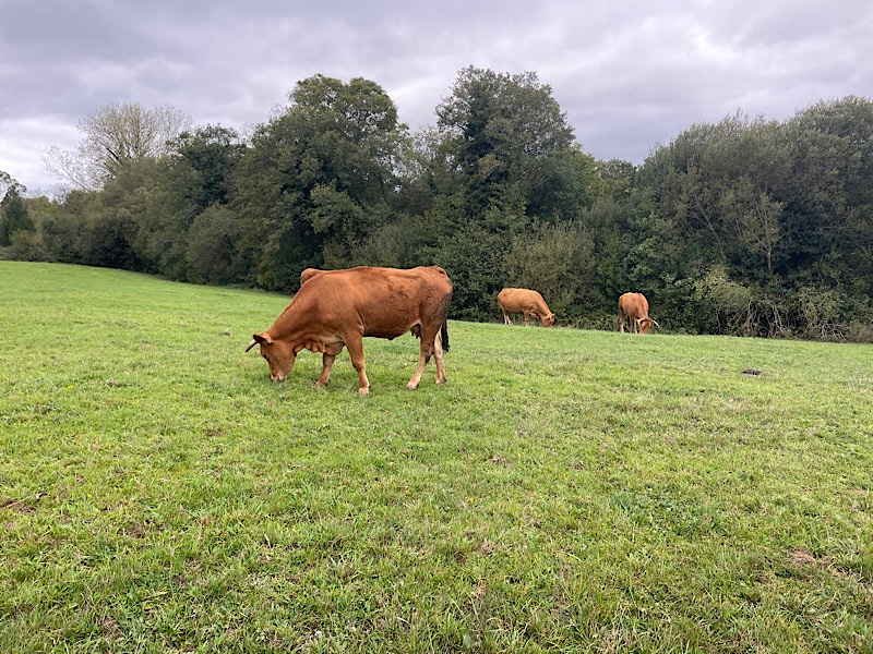 Day 26: In search of&nbsp;sustenance